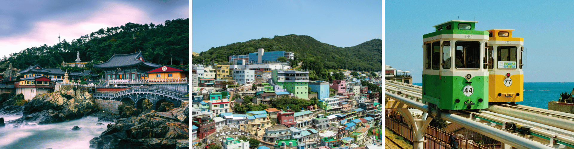 SKH Day 5 SKH Day 5 WOLO Travel